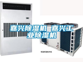 常見問題嘉興除濕機 嘉興工業(yè)除濕機