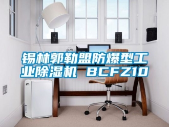 企業(yè)新聞錫林郭勒盟防爆型工業(yè)除濕機(jī) BCFZ10