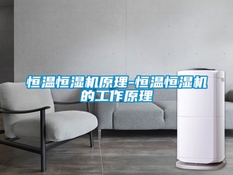 知識百科恒溫恒濕機原理-恒溫恒濕機的工作原理