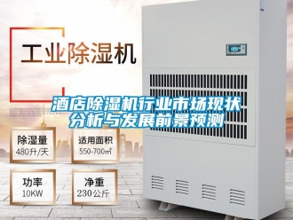 行業(yè)新聞酒店除濕機(jī)行業(yè)市場現(xiàn)狀分析與發(fā)展前景預(yù)測
