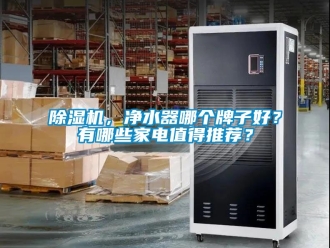 企業(yè)新聞除濕機(jī)，凈水器哪個牌子好？有哪些家電值得推薦？