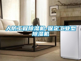常見問題人防工程除濕機(jī)-保定工業(yè)型除濕機(jī)
