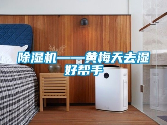 行業(yè)新聞除濕機(jī)——黃梅天去濕好幫手