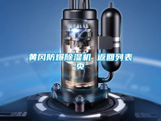 企業(yè)新聞黃岡防爆除濕機(jī) 返回列表頁(yè)