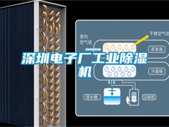 常見問題深圳電子廠工業(yè)除濕機(jī)
