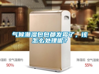 常見問題氣候潮濕包包都發(fā)霉了，該怎么處理呢？