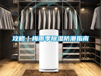 常見問題攻略｜梅雨季除濕防潮指南