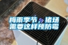 梅雨季節(jié)，豬場需要這樣預防霉