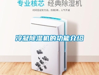 行業(yè)新聞冷凝除濕機(jī)的功能介紹