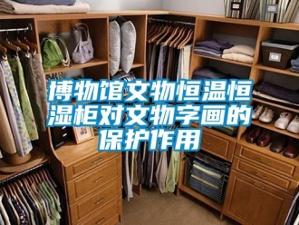 知識百科博物館文物恒溫恒濕柜對文物字畫的保護作用