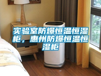 知識百科實驗室防爆恒溫恒濕柜，惠州防爆恒溫恒濕柜