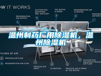 行業(yè)新聞溫州制藥廠用除濕機，溫州除濕機
