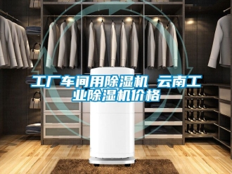 常見問題工廠車間用除濕機(jī) 云南工業(yè)除濕機(jī)價(jià)格