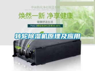 常見問題轉(zhuǎn)輪除濕機(jī)原理及應(yīng)用