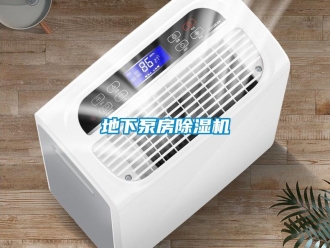 行業(yè)新聞地下泵房除濕機(jī)