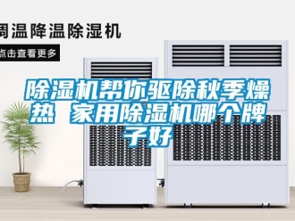 常見問題除濕機幫你驅除秋季燥熱 家用除濕機哪個牌子好