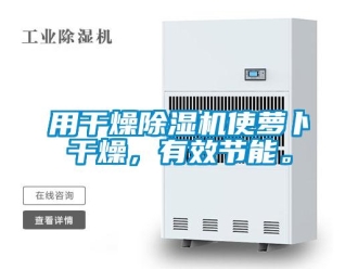 知識(shí)百科用干燥除濕機(jī)使蘿卜干燥，有效節(jié)能。