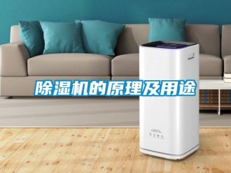 常見問題除濕機的原理及用途