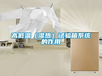 常見問題高低溫（濕熱）試驗(yàn)箱系統(tǒng)的作用