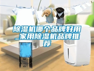 企業(yè)新聞除濕機(jī)哪個品牌好用_家用除濕機(jī)品牌推薦