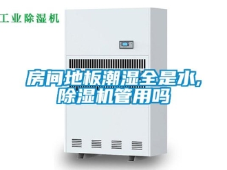 行業(yè)新聞房間地板潮濕全是水,除濕機(jī)管用嗎