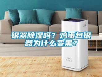 行業(yè)新聞銀器除濕嗎？雞蛋包銀器為什么變黑？