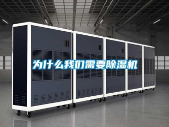 知識百科為什么我們需要除濕機