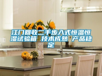 知識百科江門回收二手步入式恒溫恒濕試驗箱 技術成熟 產(chǎn)品穩(wěn)定