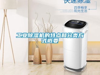 企業(yè)新聞工業(yè)除濕機(jī)的特點(diǎn)和分類方式概要