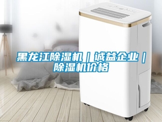 企業(yè)新聞黑龍江除濕機(jī)｜誠益企業(yè)｜除濕機(jī)價格