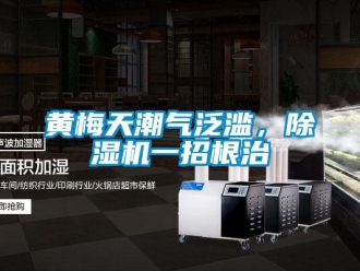 行業(yè)新聞黃梅天潮氣泛濫，除濕機一招根治