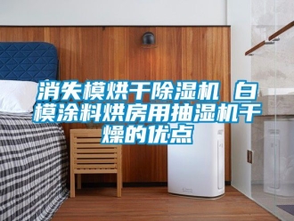 行業(yè)新聞消失模烘干除濕機 白模涂料烘房用抽濕機干燥的優(yōu)點