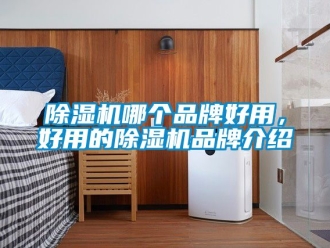 企業(yè)新聞除濕機(jī)哪個品牌好用，好用的除濕機(jī)品牌介紹