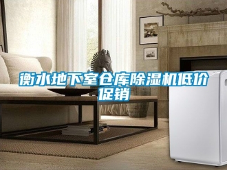 企業(yè)新聞衡水地下室倉(cāng)庫(kù)除濕機(jī)低價(jià)促銷