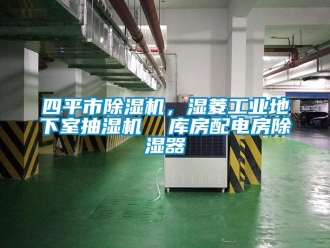 常見問題四平市除濕機，濕菱工業(yè)地下室抽濕機  庫房配電房除濕器