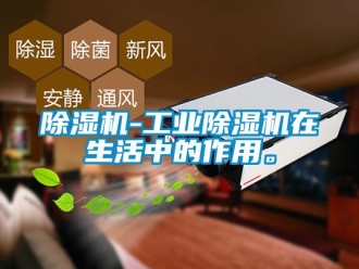 常見問題除濕機(jī)-工業(yè)除濕機(jī)在生活中的作用。