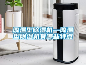 行業(yè)新聞降溫型除濕機(jī)—降溫型除濕機(jī)有哪些特點(diǎn)