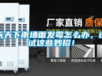 常見問題天天下雨墻面發(fā)霉怎么辦，試試這些妙招！