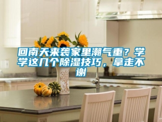 行業(yè)新聞回南天來襲家里潮氣重？學學這幾個除濕技巧，拿走不謝