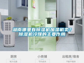 行業(yè)新聞湖南哪里有除濕機(jī)加濕機(jī)賣(mài)？除濕機(jī)冷媒的主要作用