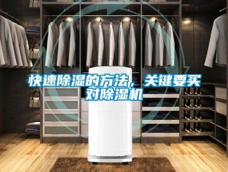 行業(yè)新聞快速除濕的方法，關(guān)鍵要買對(duì)除濕機(jī)