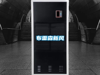 企業(yè)新聞布雷森新風(fēng)