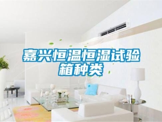 知識百科嘉興恒溫恒濕試驗箱種類