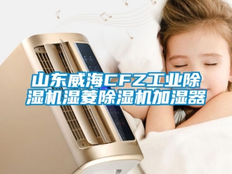 常見問題山東威海CFZ工業(yè)除濕機(jī)濕菱除濕機(jī)加濕器