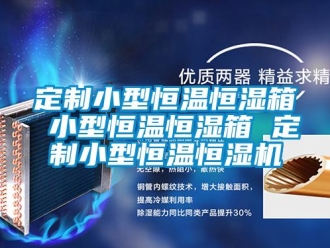 知識(shí)百科定制小型恒溫恒濕箱 小型恒溫恒濕箱 定制小型恒溫恒濕機(jī)