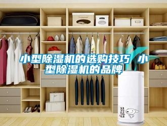企業(yè)新聞小型除濕機(jī)的選購技巧 小型除濕機(jī)的品牌
