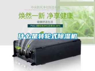 常見問題什么是轉(zhuǎn)輪式除濕機