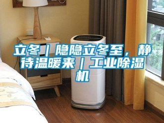 行業(yè)新聞立冬｜隱隱立冬至，靜待溫暖來｜工業(yè)除濕機