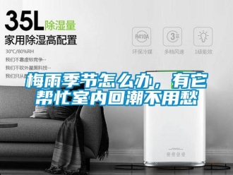 常見問題梅雨季節(jié)怎么辦，有它幫忙室內(nèi)回潮不用愁