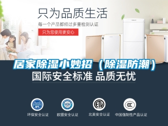 常見(jiàn)問(wèn)題居家除濕小妙招（除濕防潮）